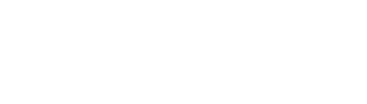 Blue Zone Consulting Partners