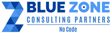 Blue Zone Consulting Partners
